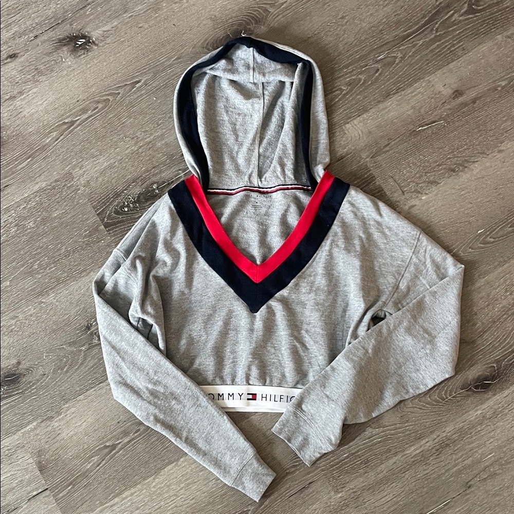 Tommy Hilfiger Gray Hoodie with Red and Black Details